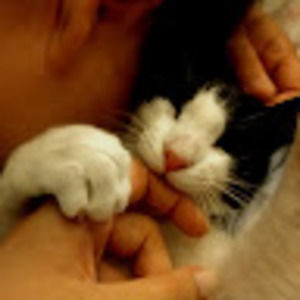 Meet your Posher, Nikki